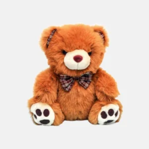 Care Bear